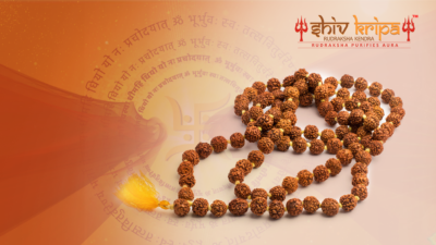 8 Reasons Why Rudraksha Mala is so Important - Benefits, Do's, And Don'ts