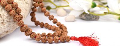 3 Types of Best Rudraksha for Students – Shiv Kripa Rudraksha