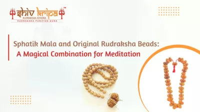 Sphatik Mala and Original Rudraksha Beads: A Magical Combination for Meditation