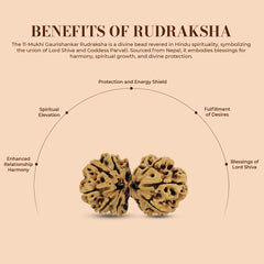 Gaurishankar ( Nepali) - Super Collector