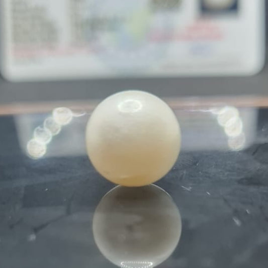 South Sea Pearl (Moti) | Certified Natural Pearl 9.67 Carat