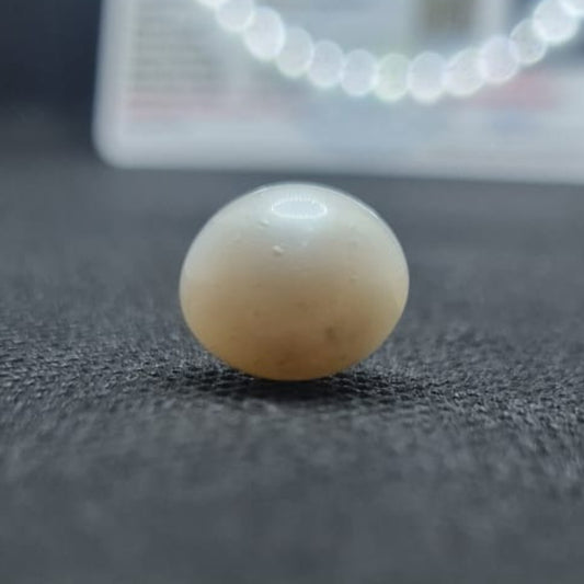 South Sea Pearl (Moti) | Certified Natural Pearl 9.89 Carat