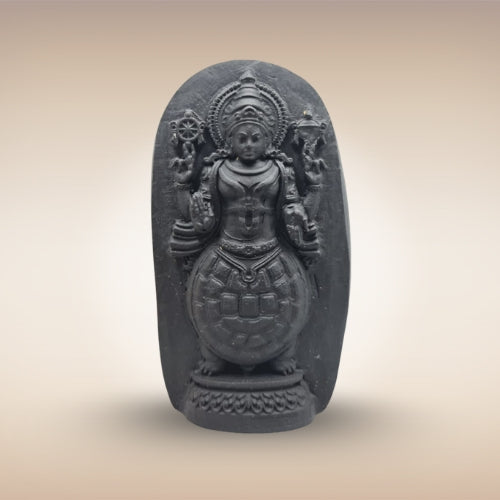 Shri Kurma Avatar Shaligram (Tortoise Incarnation of Lord Vishnu)