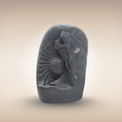 Shri Kurma Avatar Shaligram (Tortoise Incarnation of Lord Vishnu)