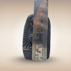 Shri Kurma Avatar Shaligram (Tortoise Incarnation of Lord Vishnu)