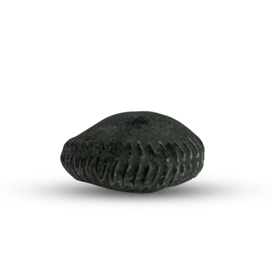 Mahalaxmi Shaligram