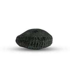 Mahalaxmi Shaligram
