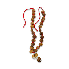 Sarv Sidh 1 to 14 Mukhi Rudraksha Mala (Nepali)