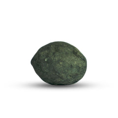 Santaan Gopal Shaligram