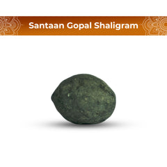 Santaan Gopal Shaligram