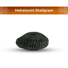Mahalaxmi Shaligram
