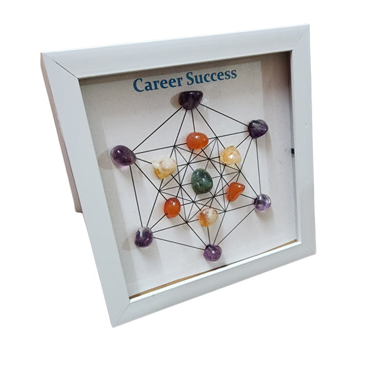 Career Success Stones