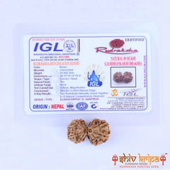 Gaurishankar (Nepali) - Regular