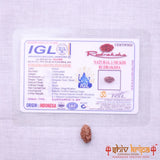 1 Mukhi Rudraksha Origin Indonesia Supercollector Beads