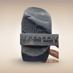 Matsya Avatar Shila (Lord Vishnu)