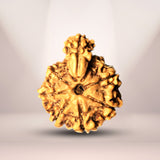 1 Mukhi Savar Rudraksha Nepali