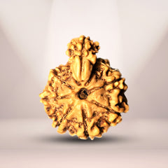 1 Mukhi Savar Rudraksha Nepali
