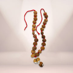 Sarv Sidh 1 to 14 Mukhi Rudraksha Mala (Nepali)