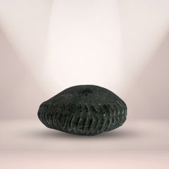 Mahalaxmi Shaligram