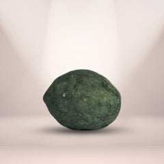 Santaan Gopal Shaligram