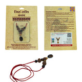 Leo Zodiac Kavach