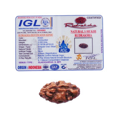 1 Mukhi Rudraksha (Indonesian)