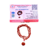 6 Mukhi Rudraksha With 5 Mukhi Rudraksha Mala