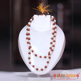 Rudraksha With Pearl Mala