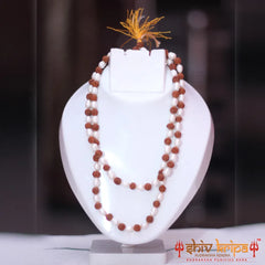 Rudraksha With Pearl Mala