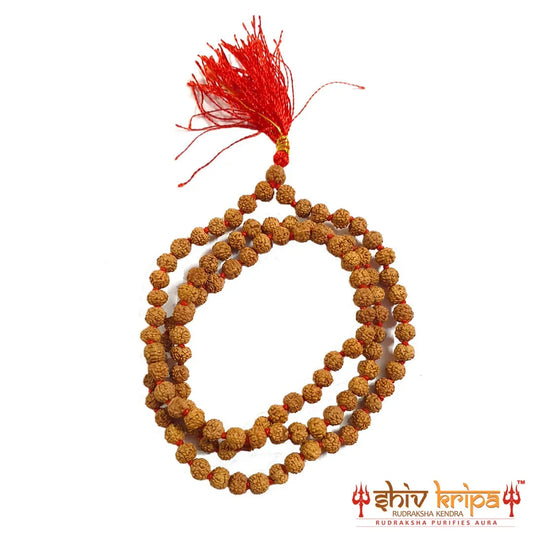 Real Five Mukhi Rudraksha Mala
