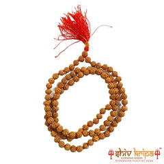 Real Five Mukhi Rudraksha Mala