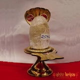 Baan-lingam with Brass Jalhari Rock-Quartz(sphatik)