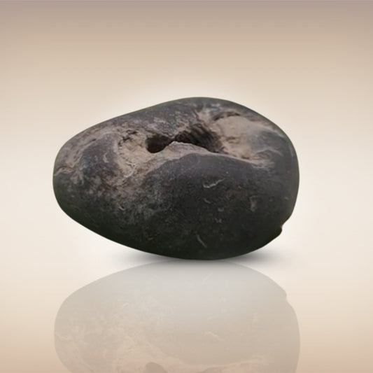 Shri Laxmi Narayan Shaligram - SH004