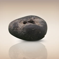 Shri Laxmi Narayan Shaligram - SH004