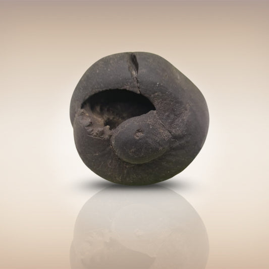 Shri Laxmi Narayan Shaligram - SH005