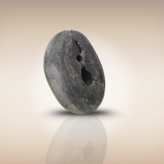 Shri Laxmi Narayan Shaligram - SH008