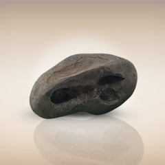 Shri Laxmi Narayan Shaligram - SH011