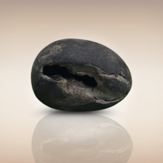 Shri Laxmi Narayan Shaligram - SH016