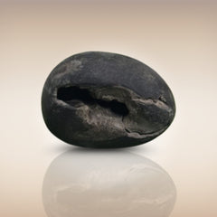 Shri Laxmi Narayan Shaligram - SH016