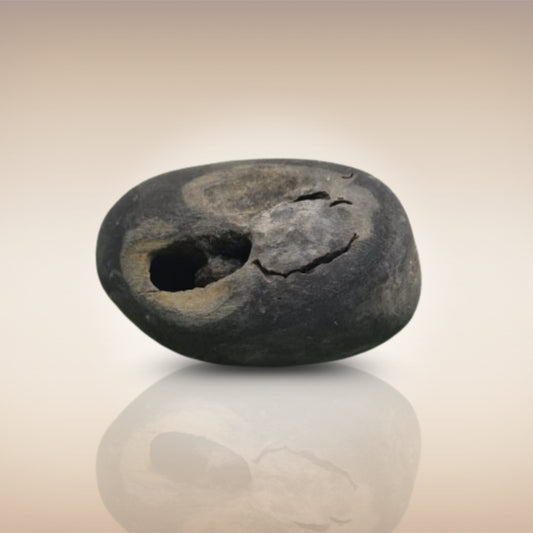 Shri Laxmi Narayan Shaligram - SH017