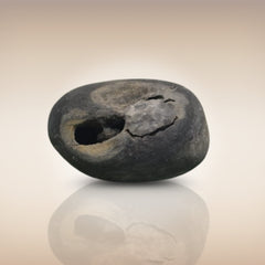 Shri Laxmi Narayan Shaligram - SH017