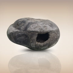 Shri Laxmi Narayan Shaligram - SH018