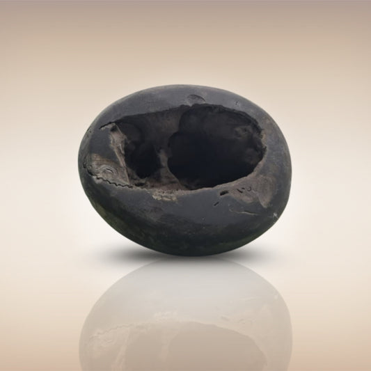 Shri Laxmi Narayan Shaligram - SH019
