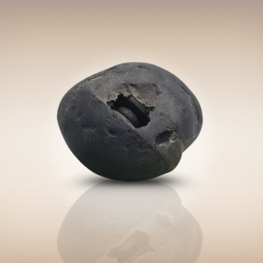 Shri Laxmi Narayan Shaligram - SH022