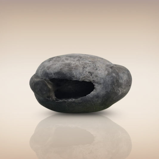 Shri Laxmi Narayan Shaligram - SH025