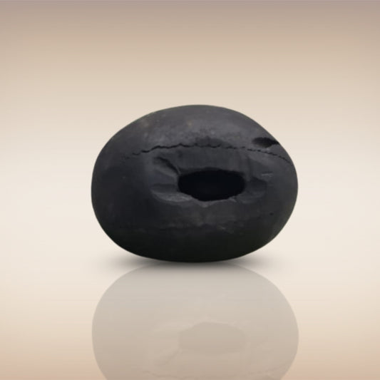 Shri Laxmi Narayan Shaligram - SH028