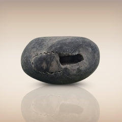 Shri Laxmi Narayan Shaligram - SH029