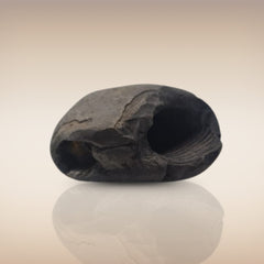 Shri Laxmi Narayan Shaligram - SH033