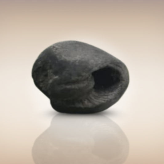 Shri Laxmi Narayan Shaligram - SH040