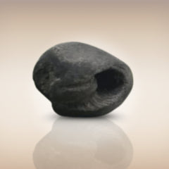 Shri Laxmi Narayan Shaligram - SH040